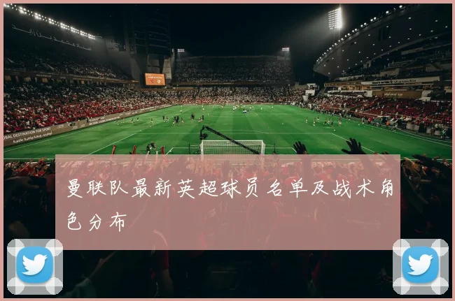 曼联队最新英超球员名单及战术角色分布