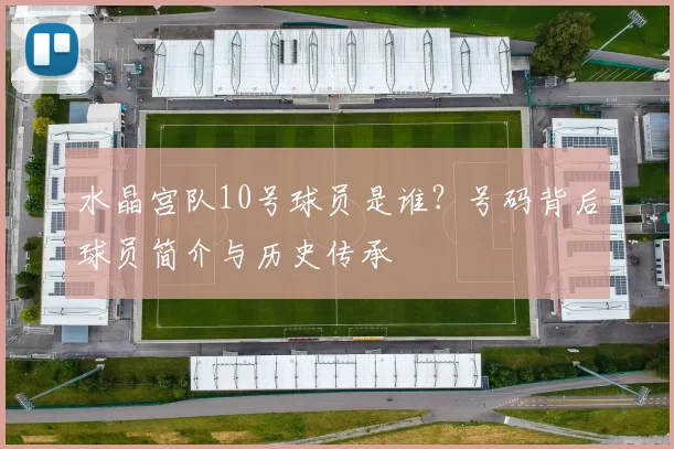 水晶宫队10号球员是谁？号码背后球员简介与历史传承
