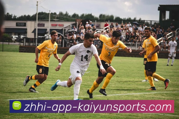 开云体育APP 高清赛事图